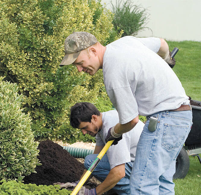Two men perform mulching services in Lancaster, PA. They spread mulch around shrubs.