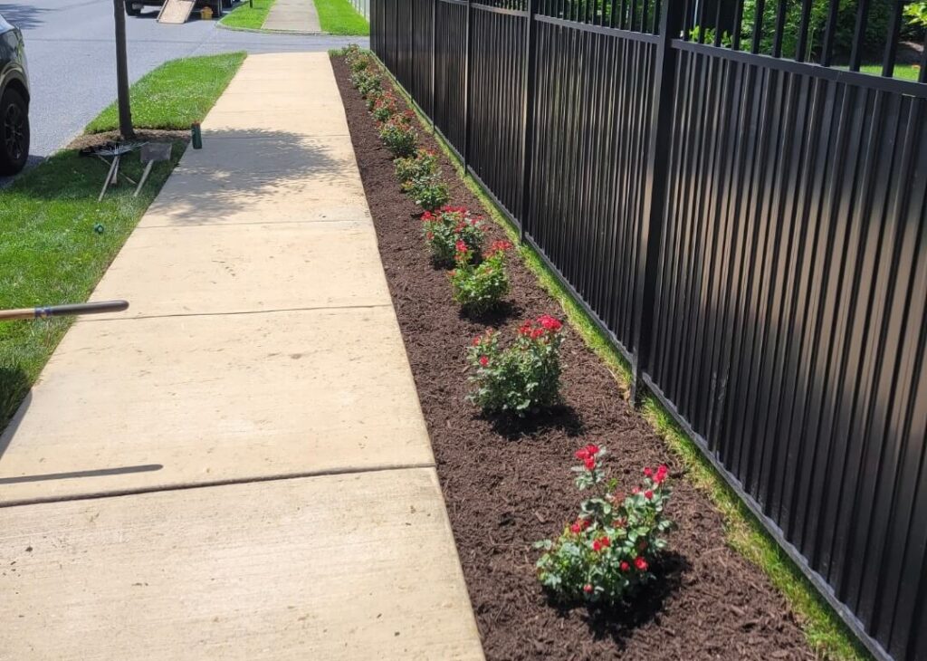 Mulch along a metal fence