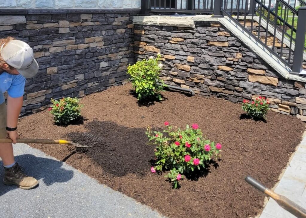 Mulch and shrubs in a front yard