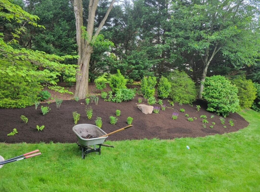 Mulch and landscaping in a backyard that used mulching services in Lititz, PA