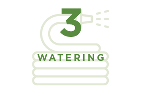 3 watering