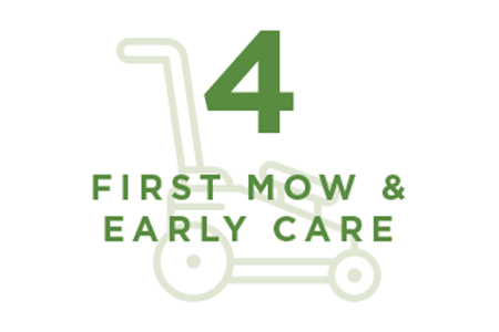 4 first mow and early care