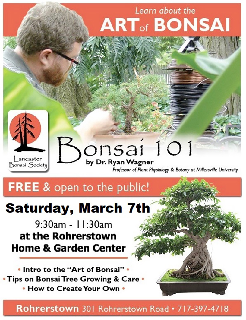 Bonsai 101 2026 lettersize