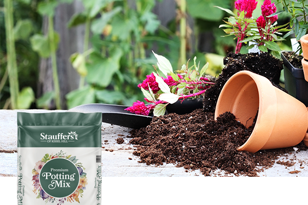 potting soil 1