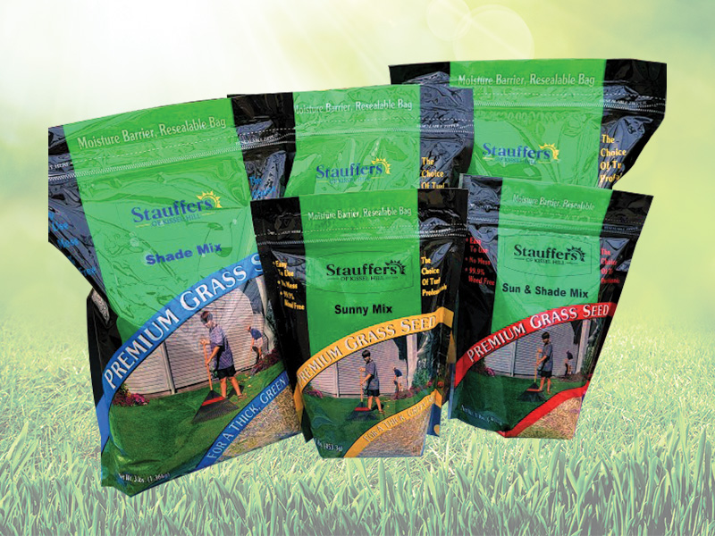 skh grass seed