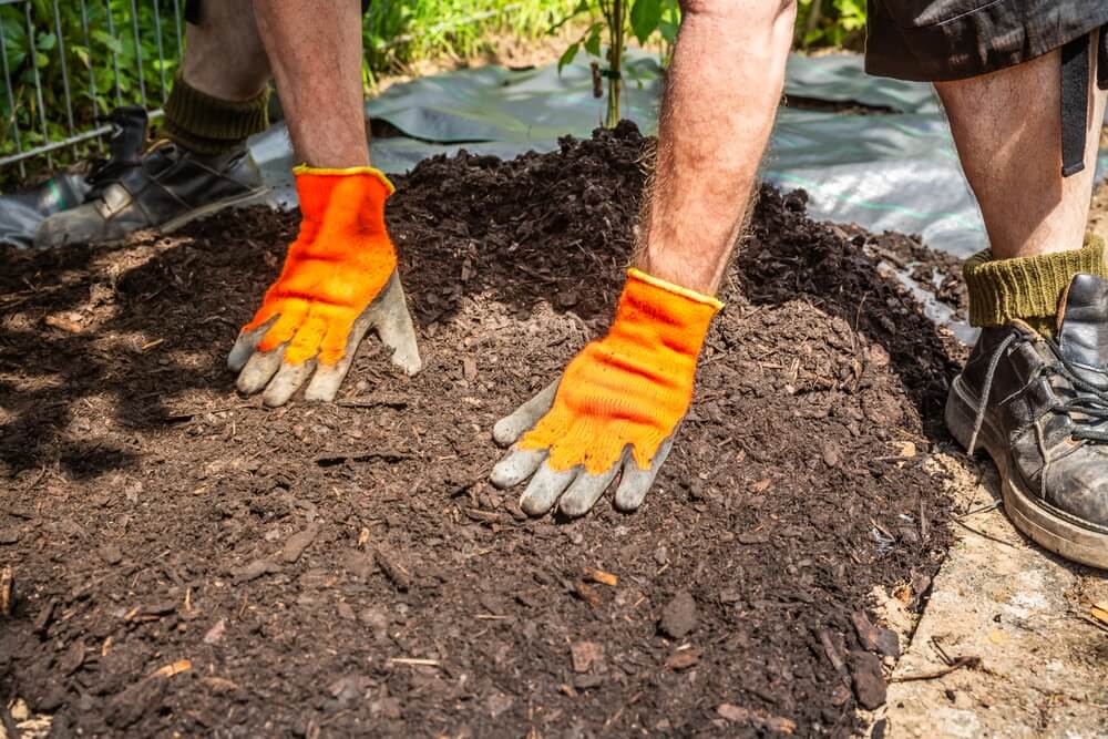Wearing orange work gloves, a man pats down a layer of shredded hardwood mulch