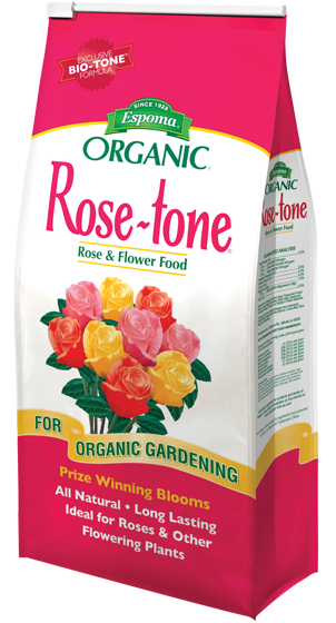 rosetone