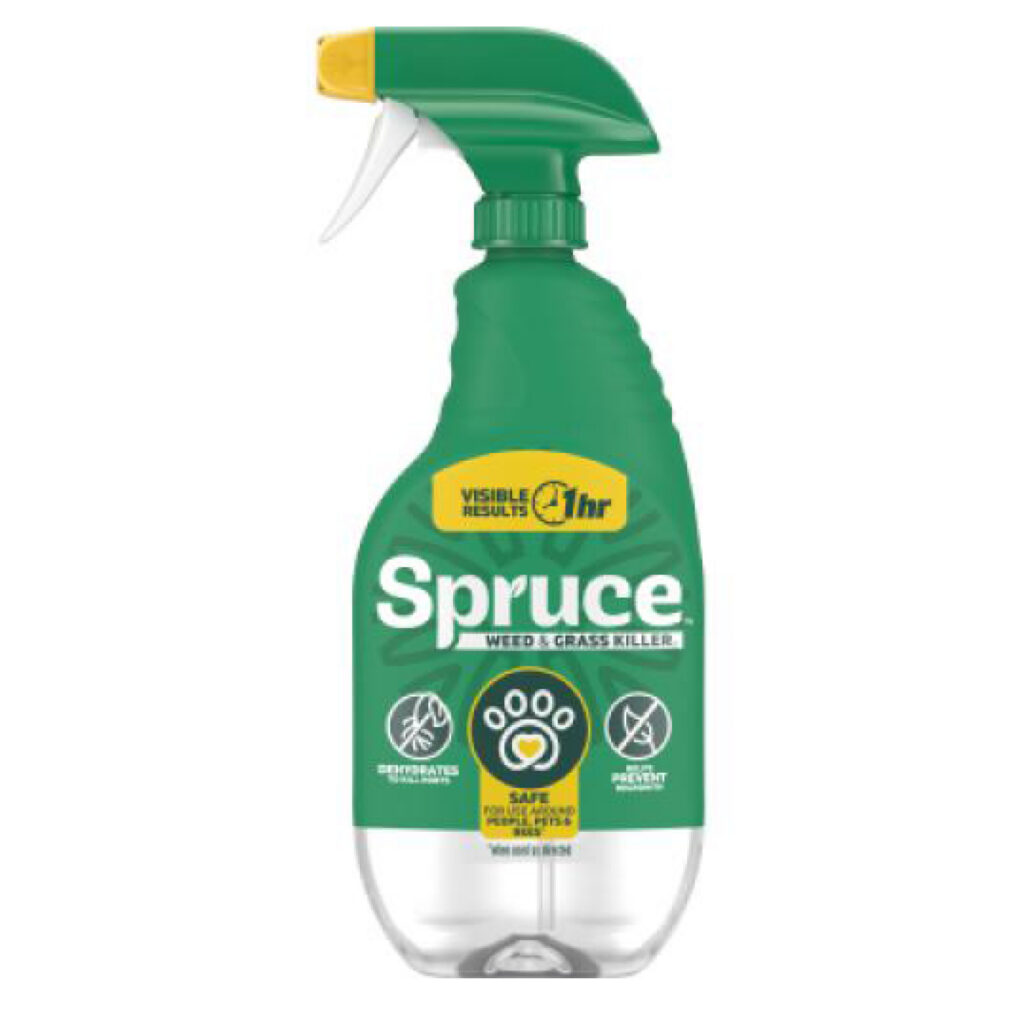 2026 05 28 Spruce