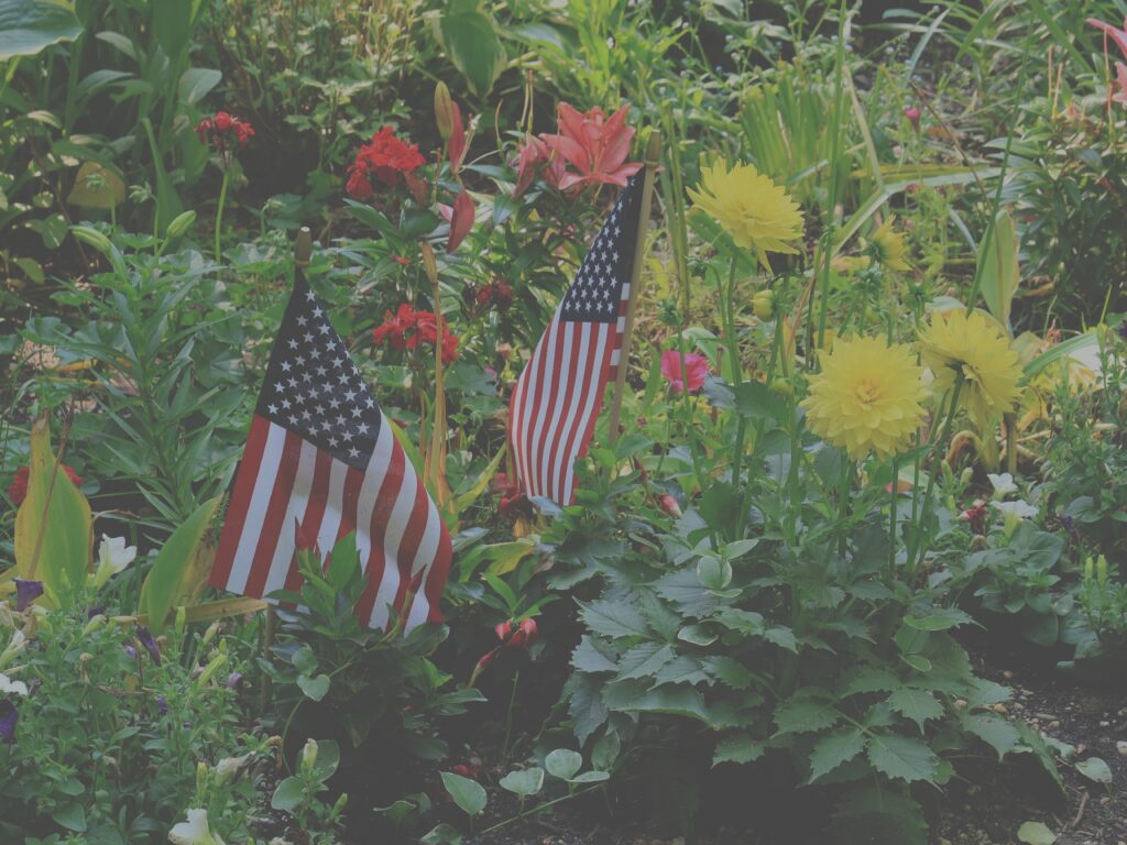 ann ZqQgyBynYEs unsplash edited