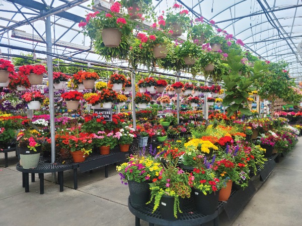 garden center April May resized to medium