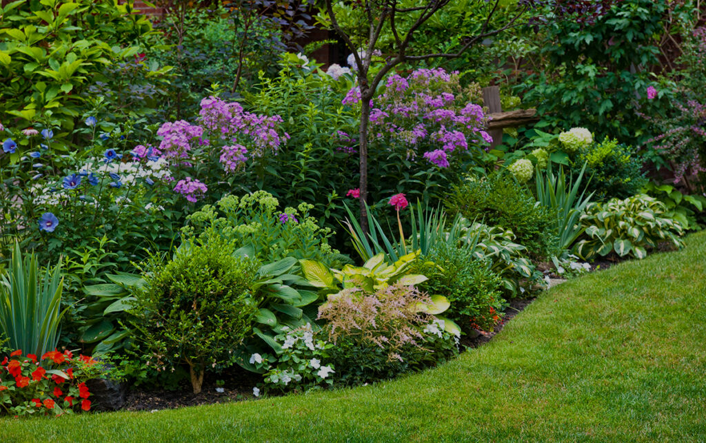 large visual on homepage 2026 perennials