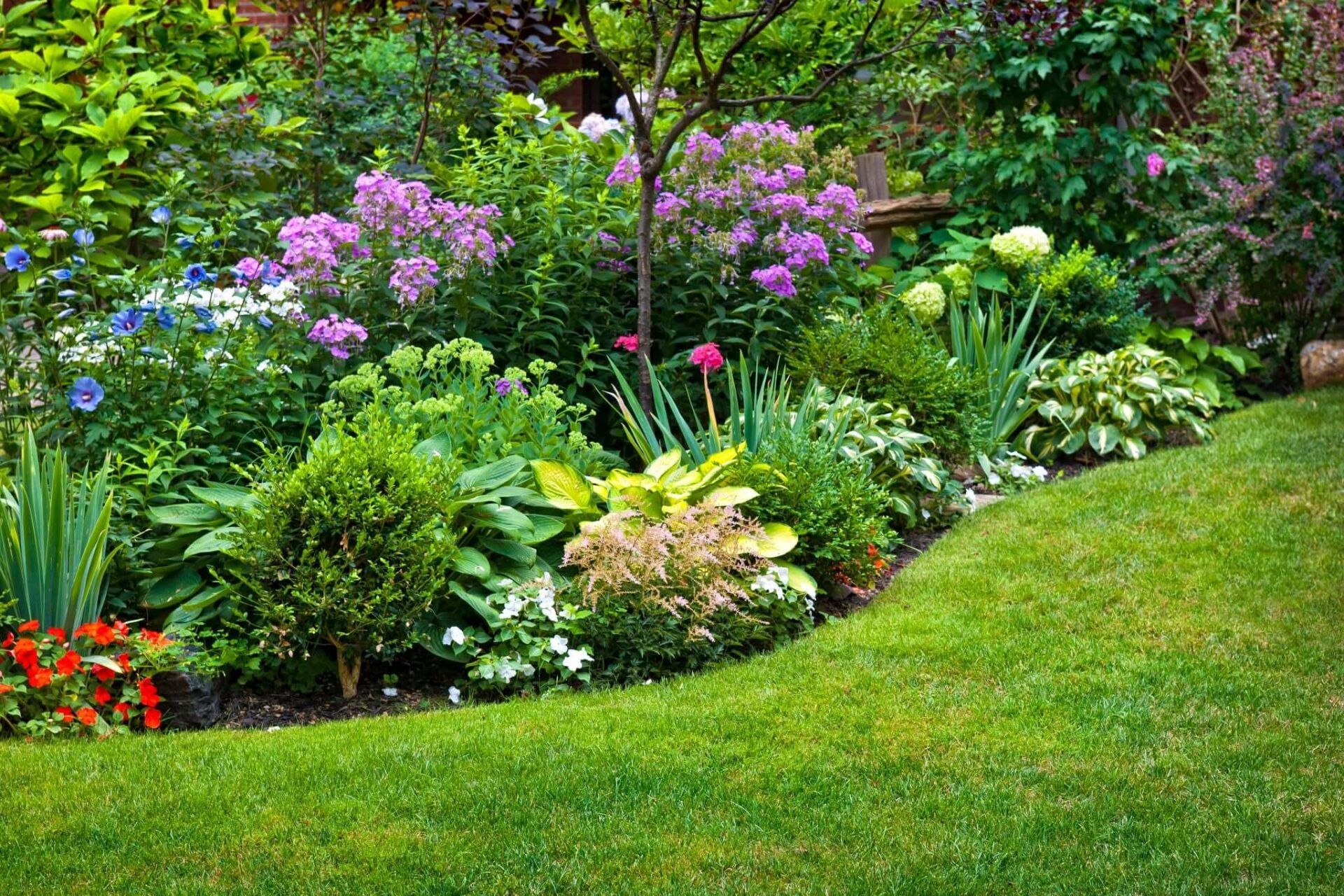 Perennial Companion Plants