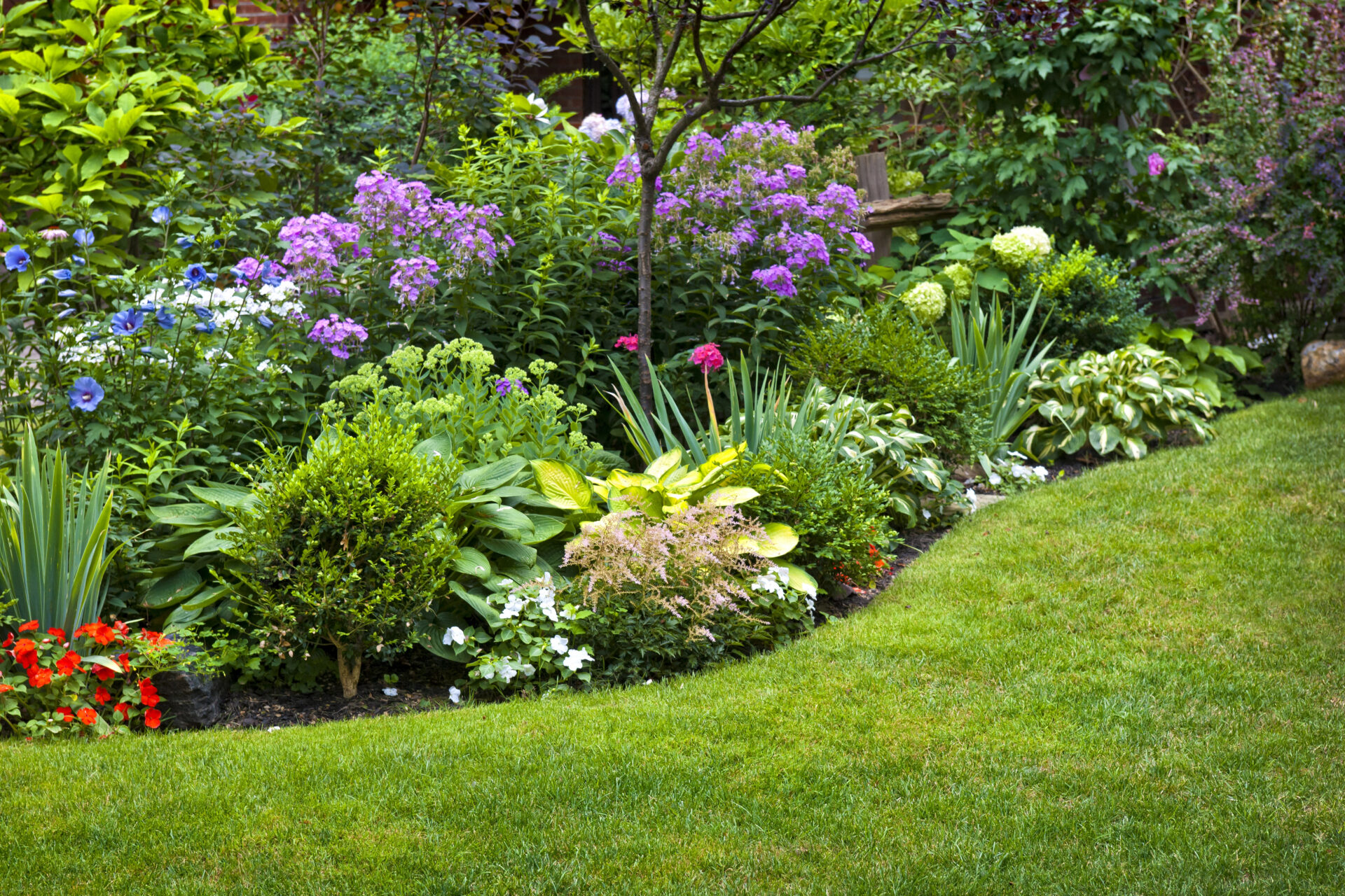 Perennials Depositphotos 16942107 XL