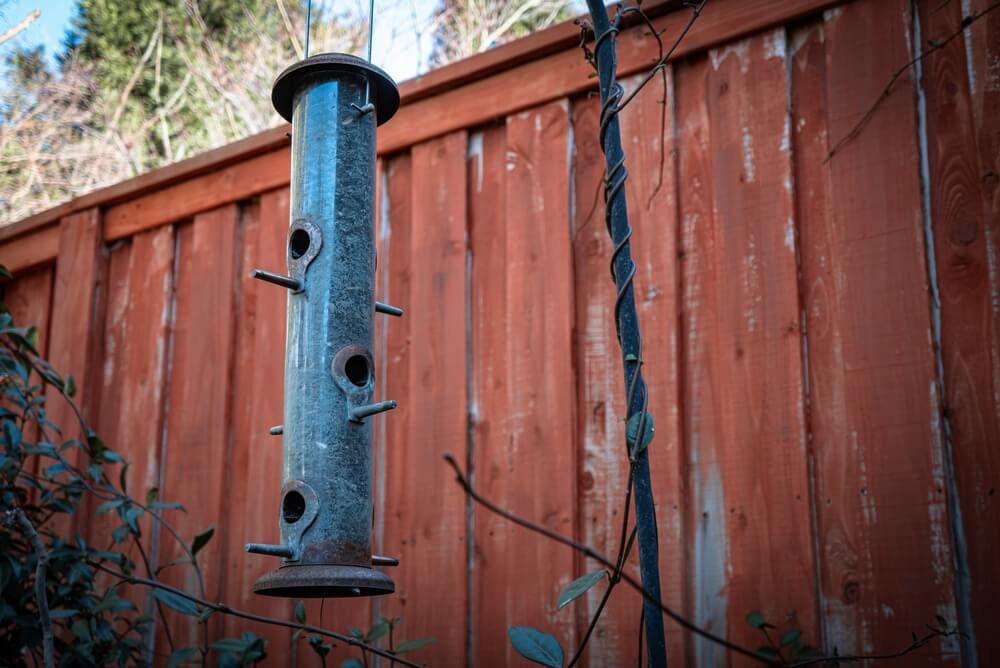A tube bird feeder for attracting birds to your backyard