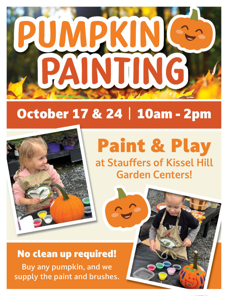 Pumpkin Painting Event October 17 and 24 2026 from 10am-2pm