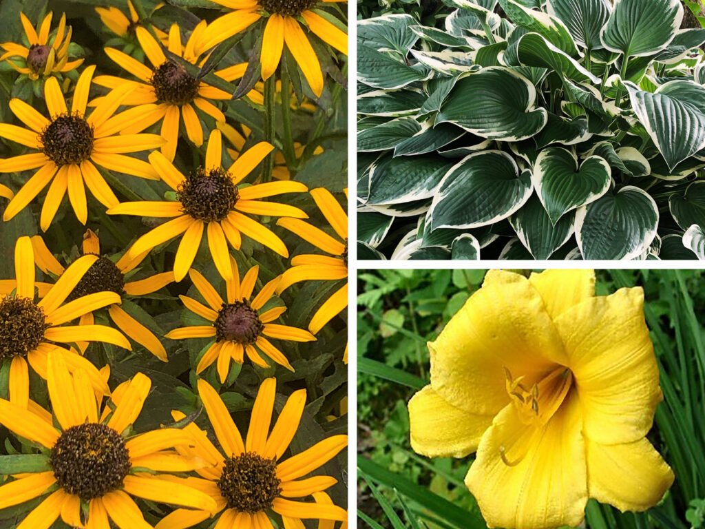 2026 08 20 Perennials