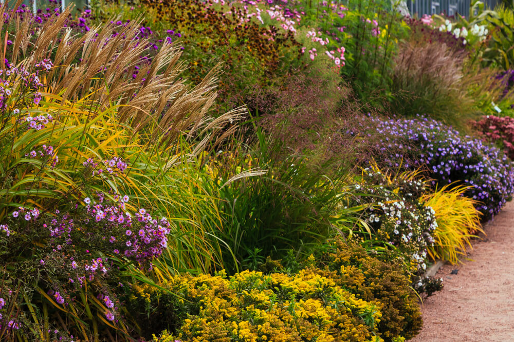 A landscape featuring the best perennials for fall color