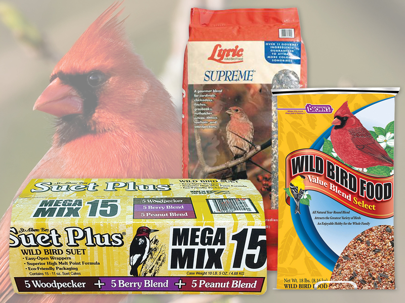 2026 10 08 Bird Food 2